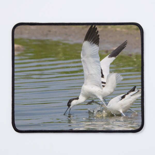 Item preview, Avocet designed and sold by LaurenTucker.