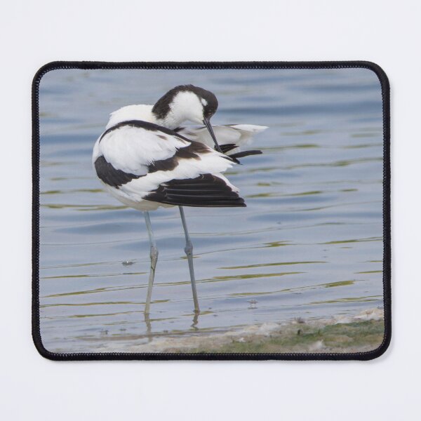 Item preview, Avocet designed and sold by LaurenTucker.