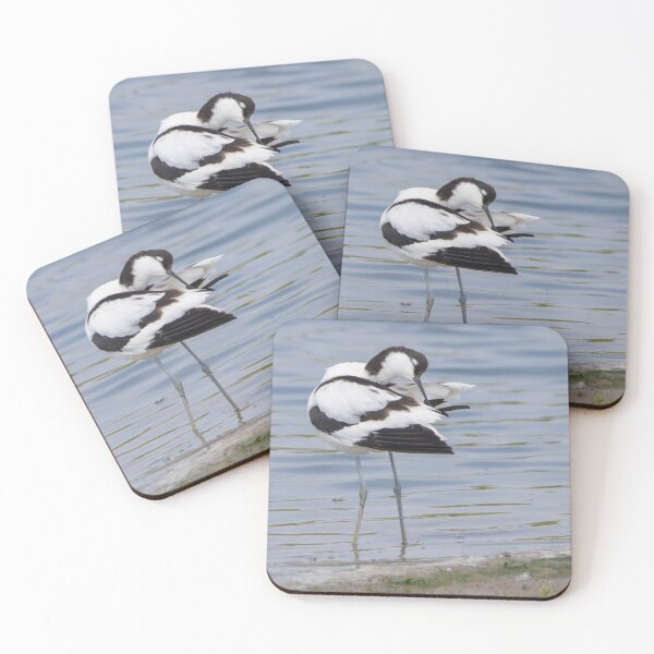Item preview, Avocet designed and sold by LaurenTucker.
