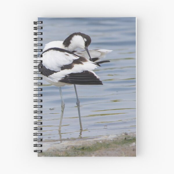 Item preview, Avocet designed and sold by LaurenTucker.