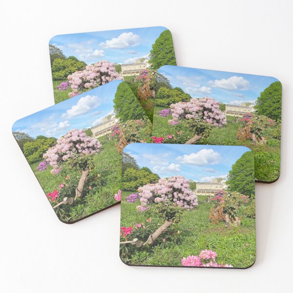 Item preview, Flowers are Lovely designed and sold by Paddyb17.