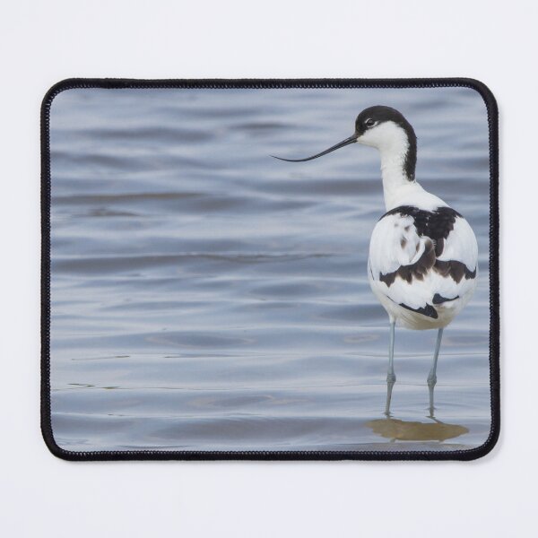 Item preview, Avocet designed and sold by LaurenTucker.