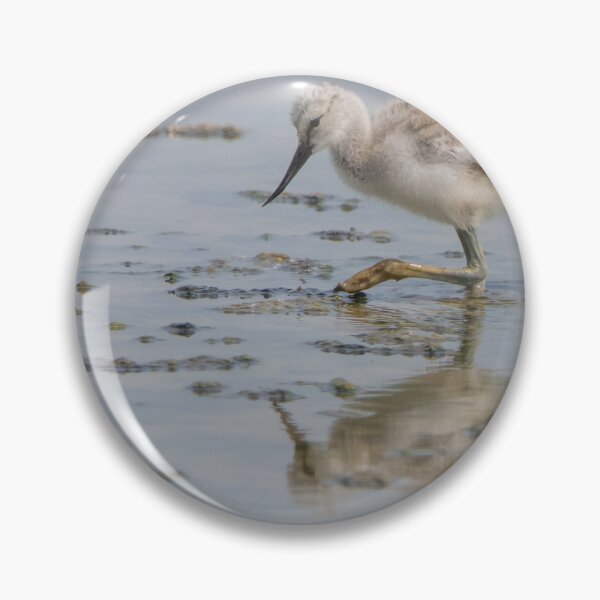 Item preview, Avocet designed and sold by LaurenTucker.