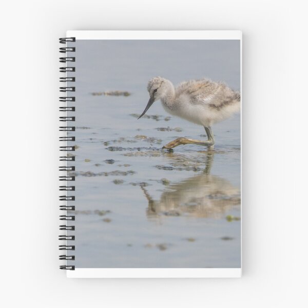 Item preview, Avocet designed and sold by LaurenTucker.