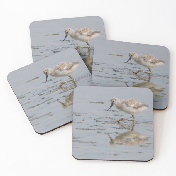 Item preview, Avocet designed and sold by LaurenTucker.