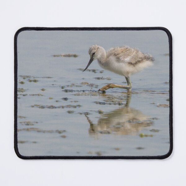 Item preview, Avocet designed and sold by LaurenTucker.