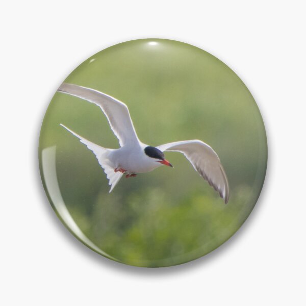 Item preview, Common Tern designed and sold by LaurenTucker.