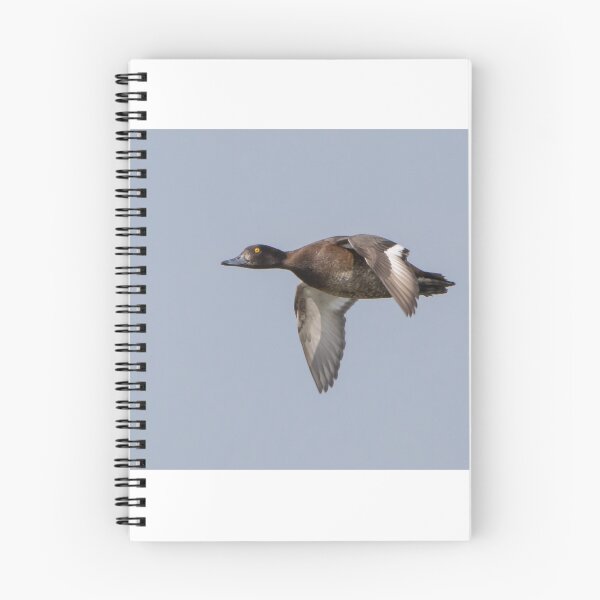 Item preview, Tufted Duck designed and sold by LaurenTucker.