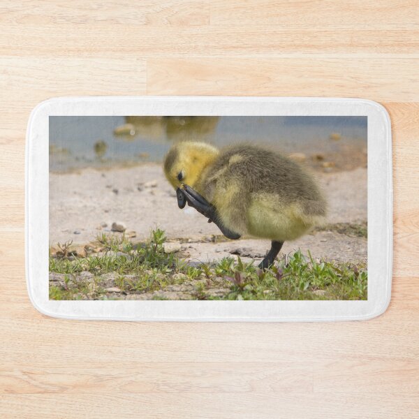 Item preview, Greylag Goose (Young) designed and sold by LaurenTucker.