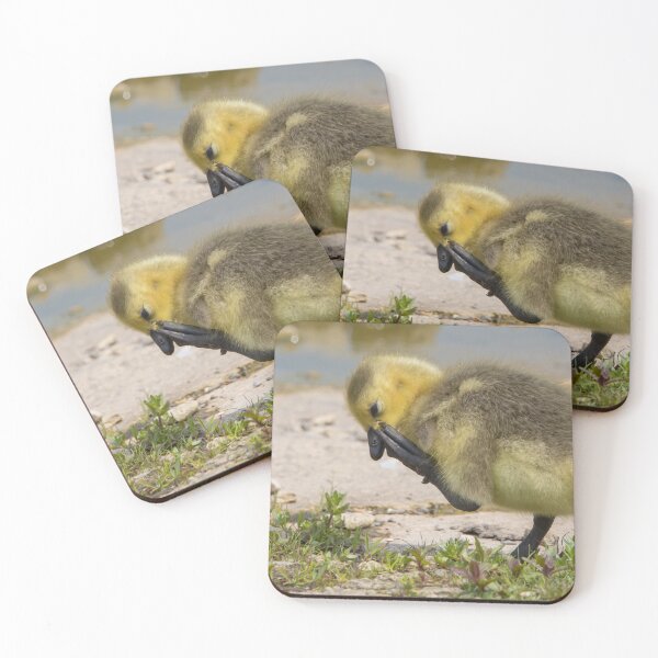 Item preview, Greylag Goose (Young) designed and sold by LaurenTucker.