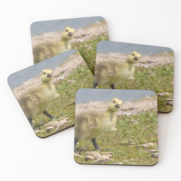 Item preview, Greylag Goose designed and sold by LaurenTucker.