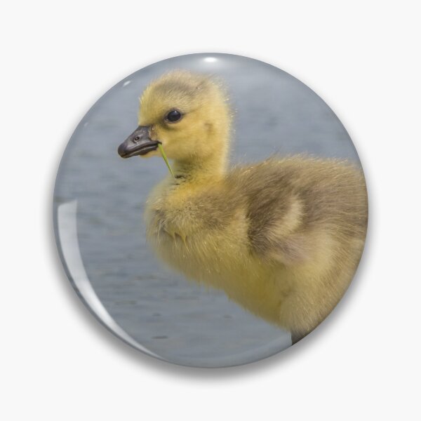 Item preview, Greylag Goose designed and sold by LaurenTucker.