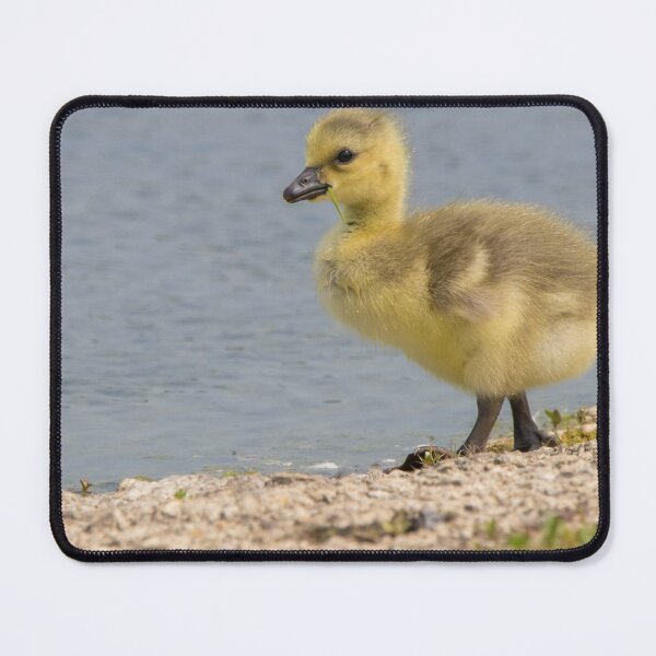 Item preview, Greylag Goose designed and sold by LaurenTucker.