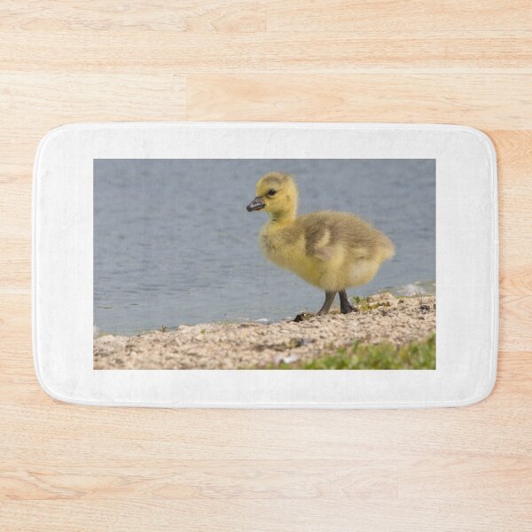 Item preview, Greylag Goose designed and sold by LaurenTucker.