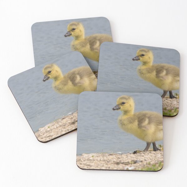 Item preview, Greylag Goose designed and sold by LaurenTucker.