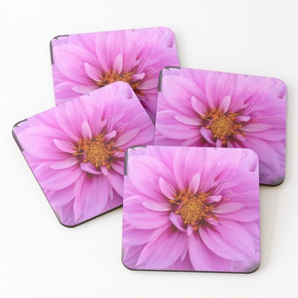 Item preview, Pushing daisies designed and sold by Elanna  Daughtry's.