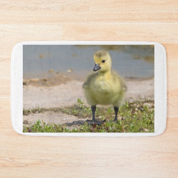 Item preview, Greylag Goose (Young) designed and sold by LaurenTucker.