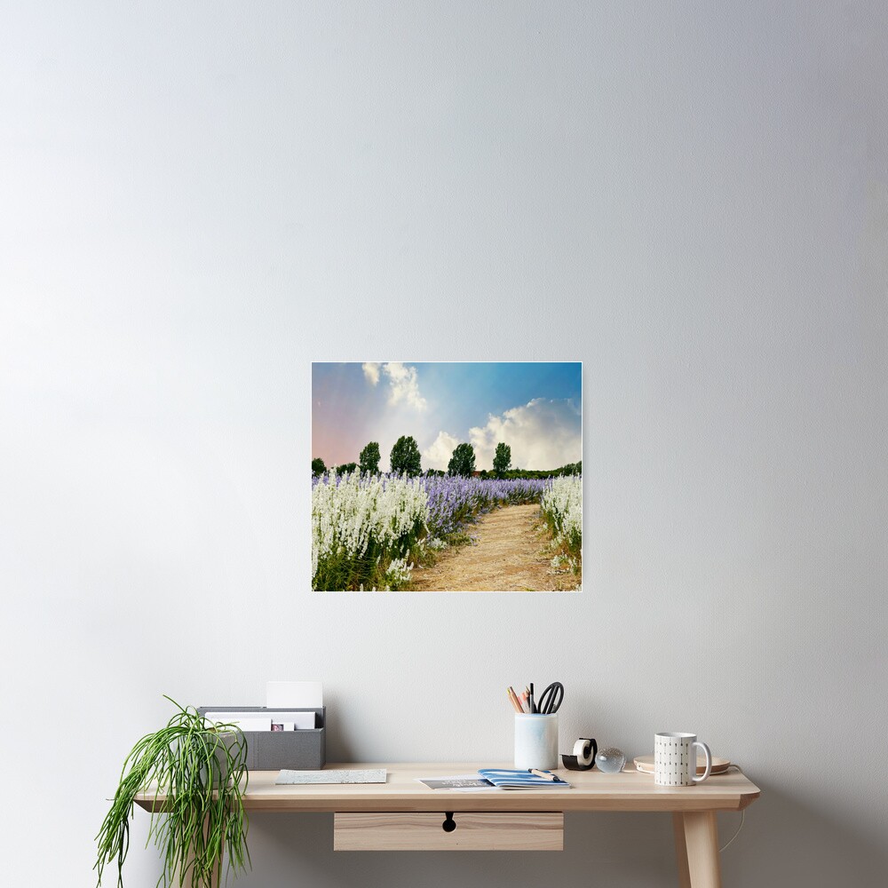 Item preview, Poster designed and sold by ScenicViewPics.