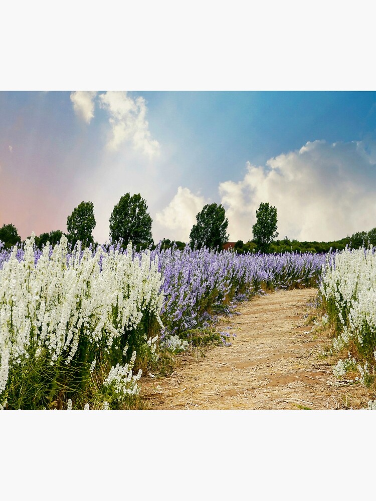 Thumbnail 3 of 3, Photographic Print, Coloured Landscape designed and sold by ScenicViewPics.