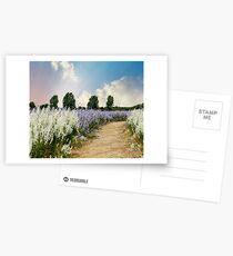 Coloured Landscape Postcards