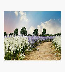 Coloured Landscape Photographic Print