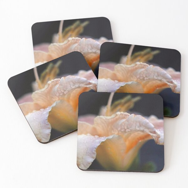 Item preview, White lily / lilies with dew drops after the rain designed and sold by captiveworld.