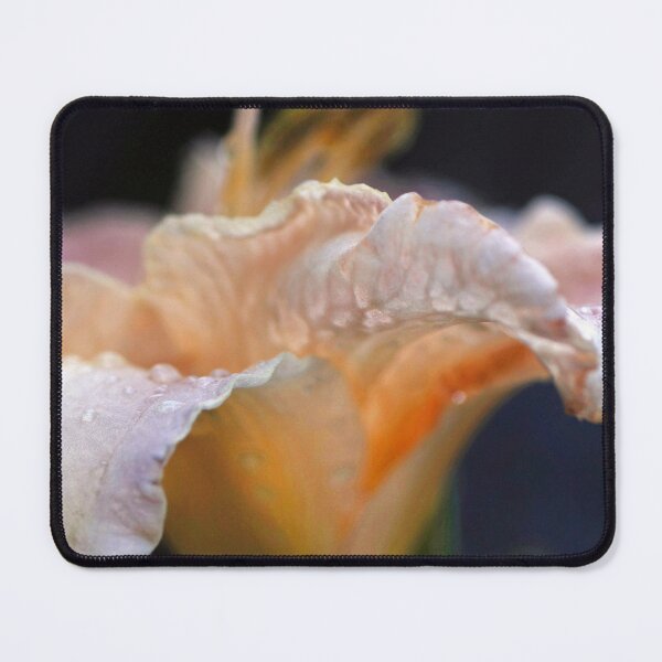 Item preview, White lily / lilies with dew drops after the rain designed and sold by captiveworld.