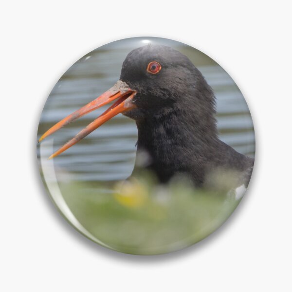 Item preview, Oystercatcher designed and sold by LaurenTucker.