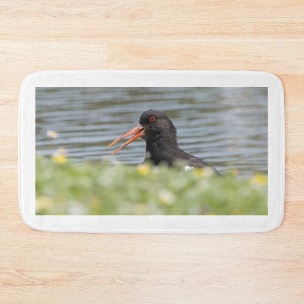 Item preview, Oystercatcher designed and sold by LaurenTucker.