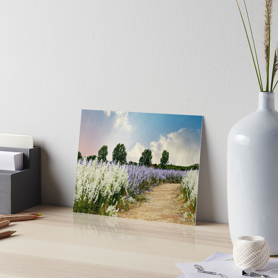 Item preview, Art Board Print designed and sold by ScenicViewPics.