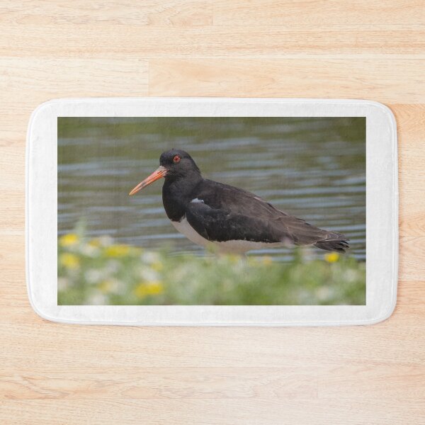 Item preview, Oystercatcher designed and sold by LaurenTucker.