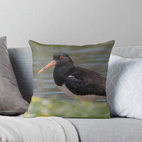 Item preview, Oystercatcher designed and sold by LaurenTucker.