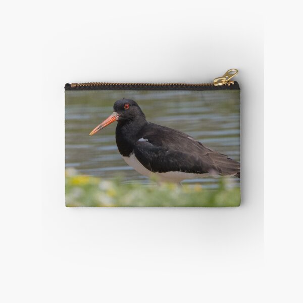 Item preview, Oystercatcher designed and sold by LaurenTucker.