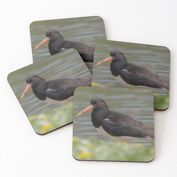 Item preview, Oystercatcher designed and sold by LaurenTucker.