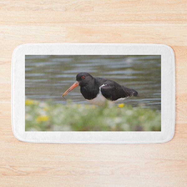 Item preview, Oystercatcher designed and sold by LaurenTucker.
