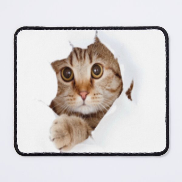 Item preview, White Free Cute Funny Cat designed and sold by Areebanawab.