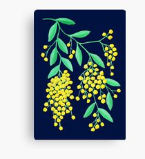 Golden Wattle - Navy Canvas Print