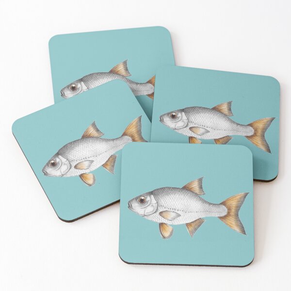 Item preview, Common roach fish designed and sold by Bwiselizzy.