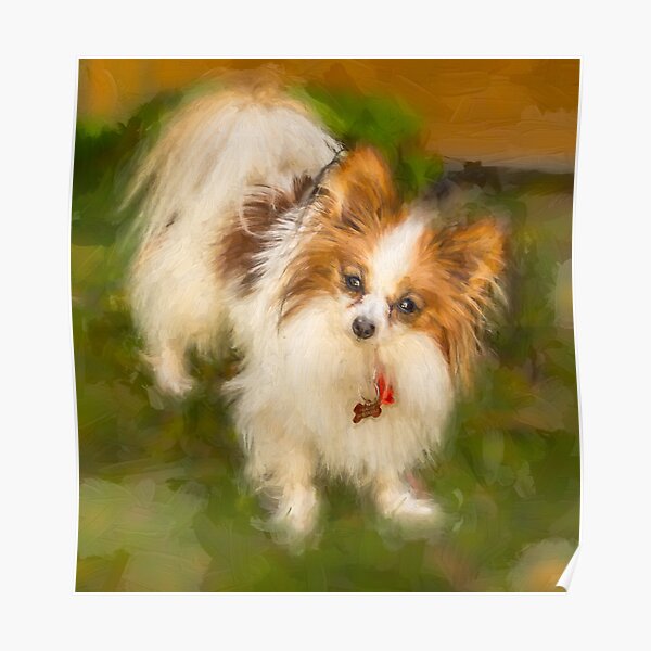 Praline Poster