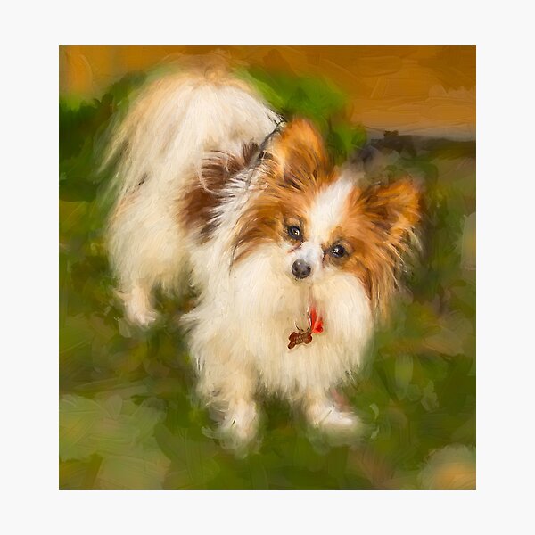 Item preview, Praline designed and sold by JuliaKHarwood.