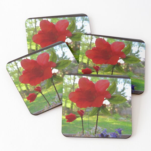 Item preview, 15 00155 0 photo designed and sold by crescenti.