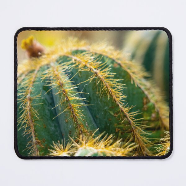 Item preview, Nature's Best 5.1 designed and sold by Reesenvision.