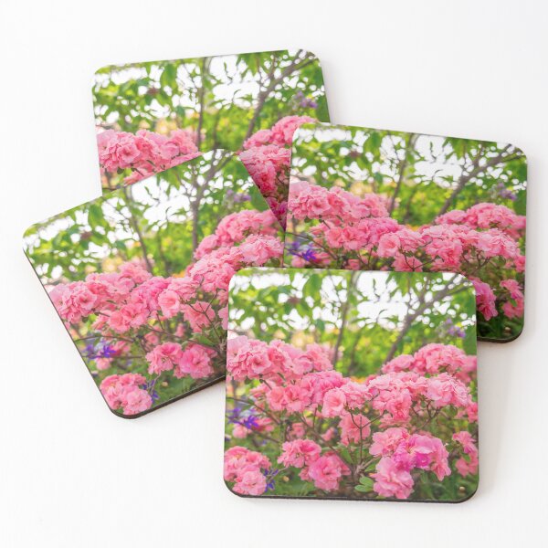 Item preview, Lo mejor de la naturaleza 6 designed and sold by Reesenvision.