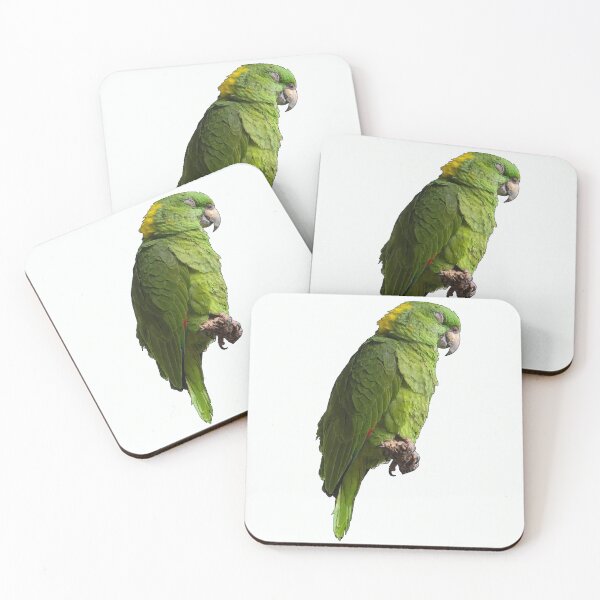 Item preview, Cute Amazon Parrot designed and sold by katiebca2.
