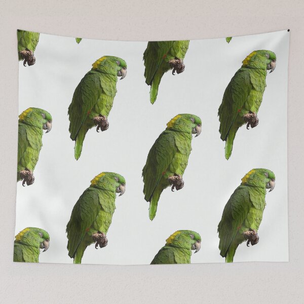 Item preview, Cute Amazon Parrot designed and sold by katiebca2.
