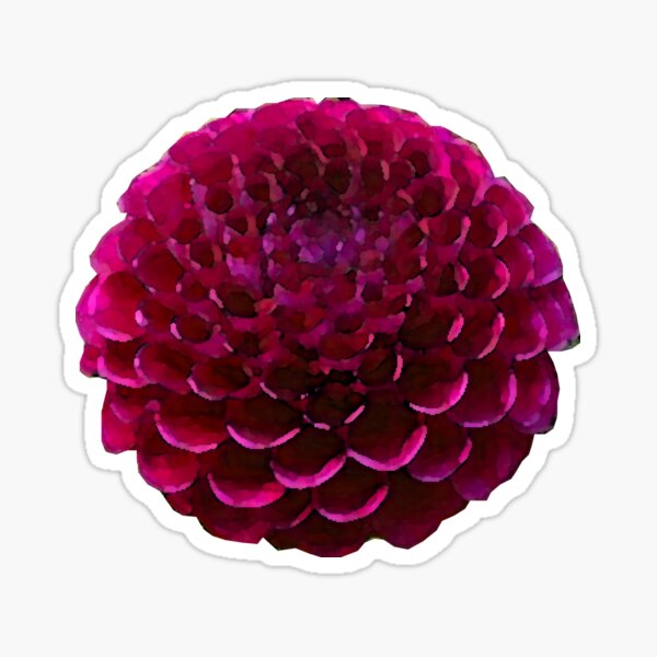 Item preview, Watercolor Dahlia in Dark Pink designed and sold by AmyWhy.