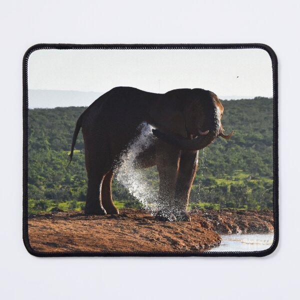 Artikelvorschau, Elefant beim Duschen | Tierfotografie entworfen und verkauft von Mii-pics.