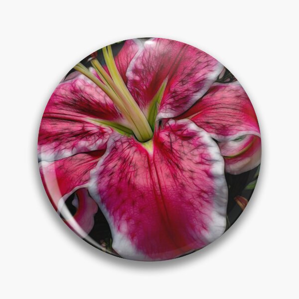 Item preview, Big Petaled Pink and White Lily designed and sold by bloomingvine.