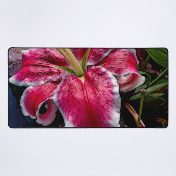 Item preview, Big Petaled Pink and White Lily designed and sold by bloomingvine.