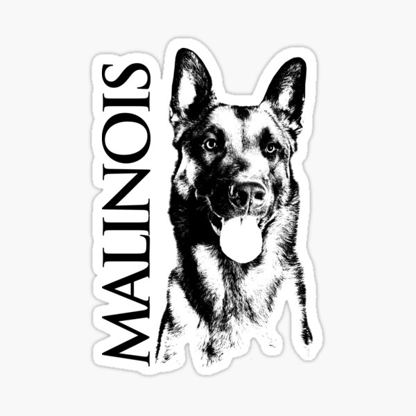 Malinois - Belgian shepherd -Mechelaar -Maligator Sticker